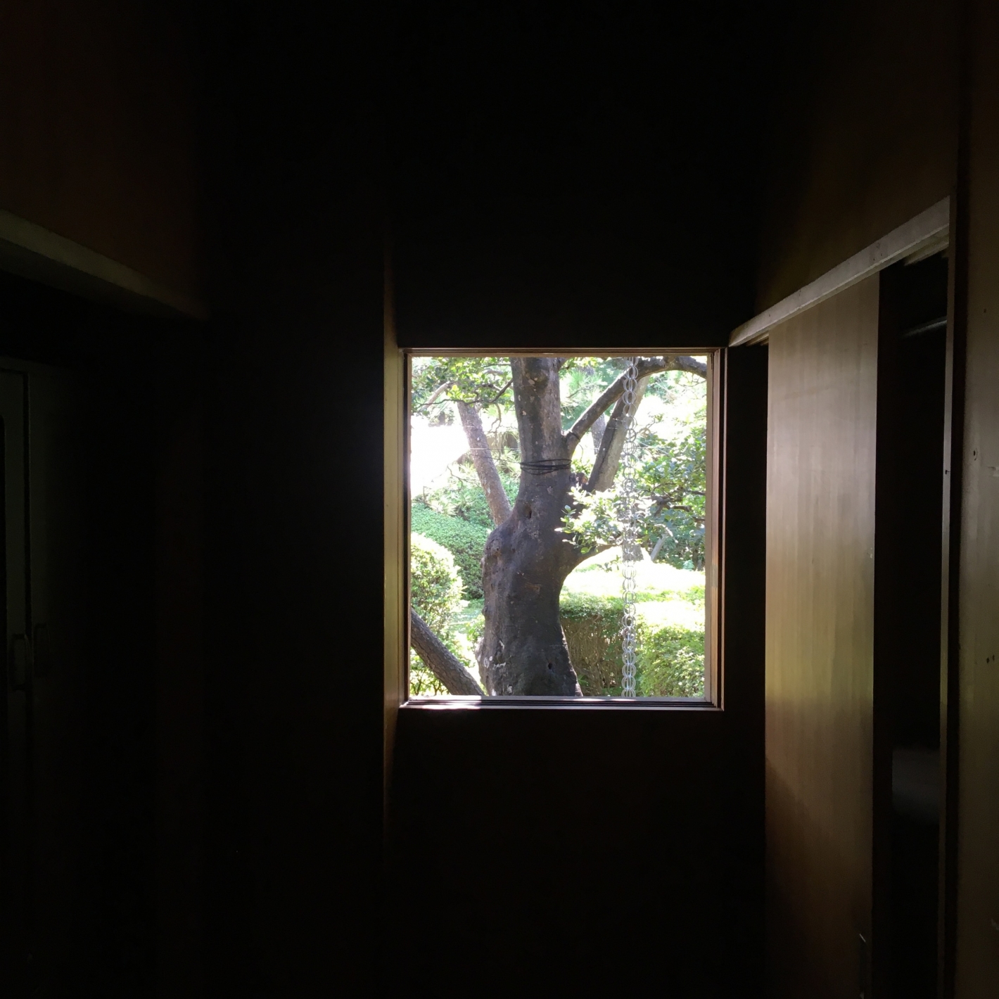 吉田五十八による猪俣邸の窓で切り取られた樹木