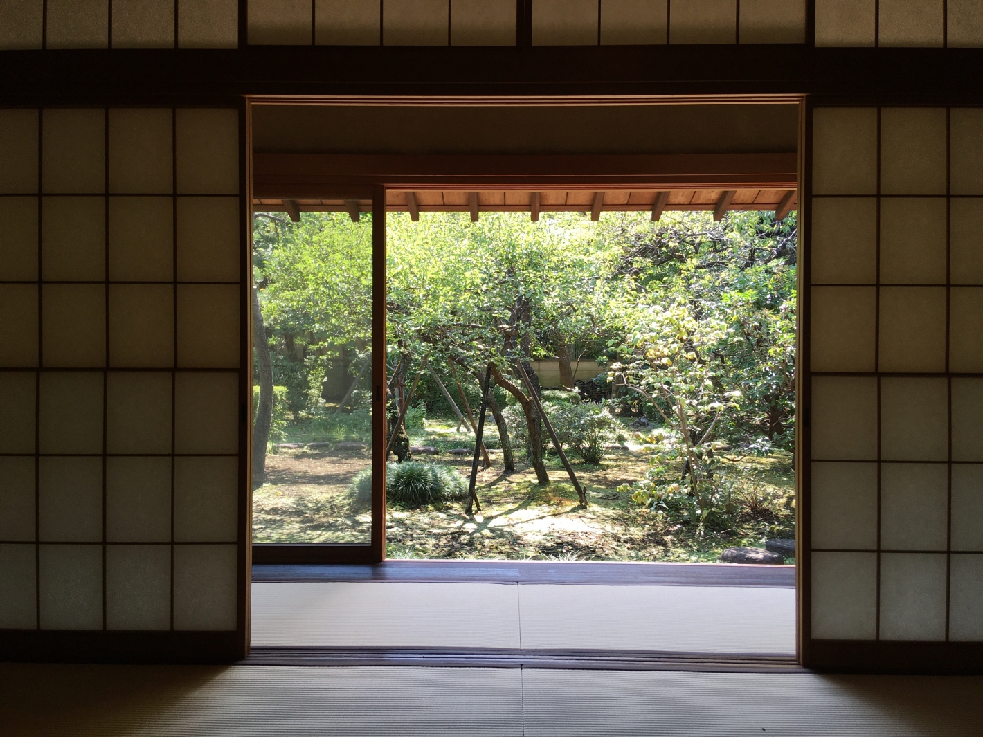吉田五十八による猪俣邸の和室からの眺め