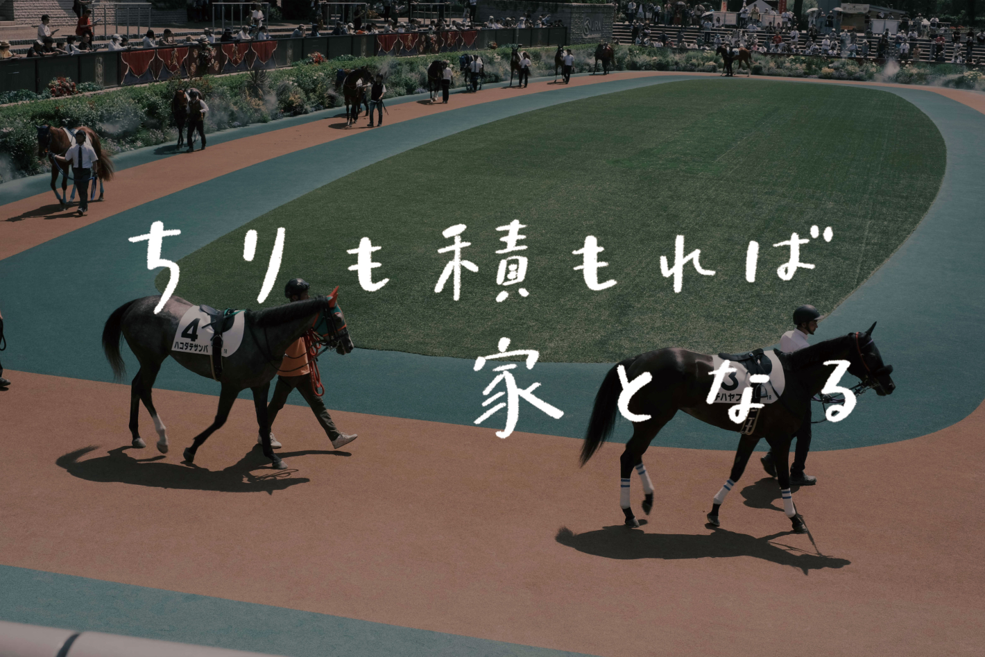 【ラジオ】 #51：語りたくなるドラマがある。今日は「ロイヤルファミリー」の話をしよう